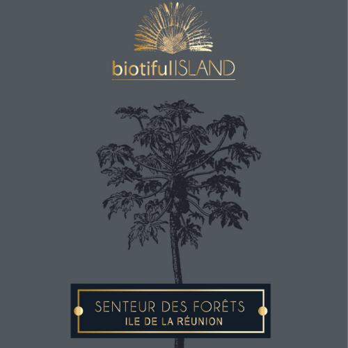 Packaging des produits BiotifullSLAND