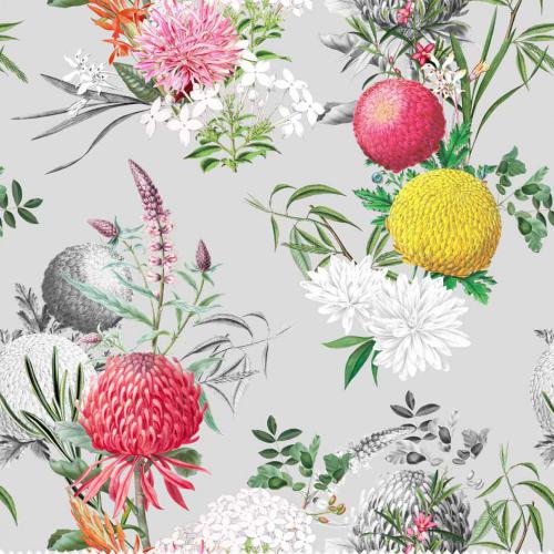 Design et colorisation